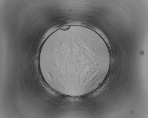 X0000096451002200802211230