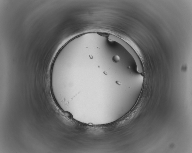 X0000096451004200802211229