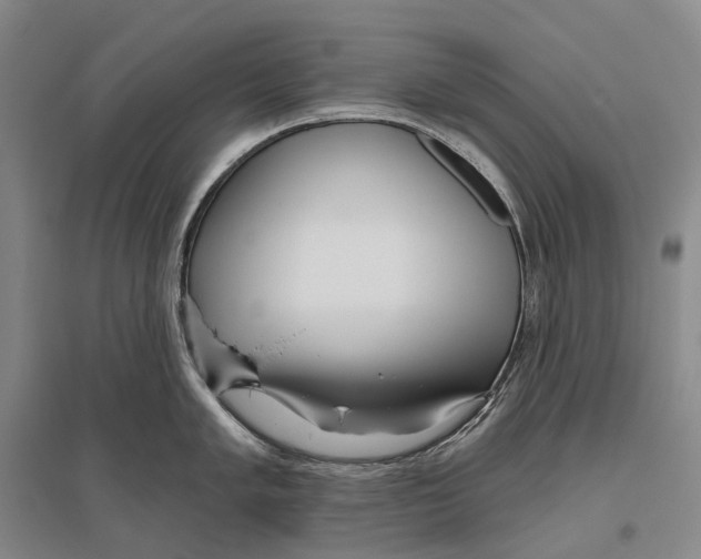 X0000096451005200802211229