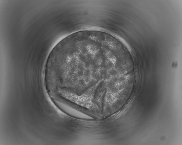 X0000096451007200802211229