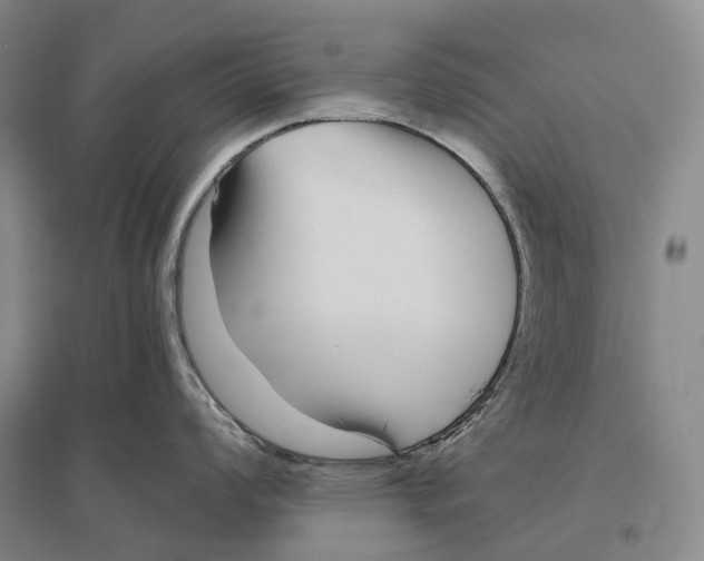 X0000096451008200802211229