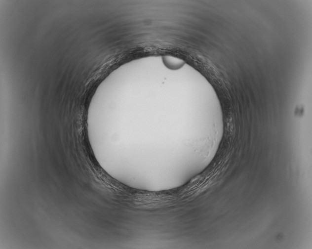 X0000096451012200802211229