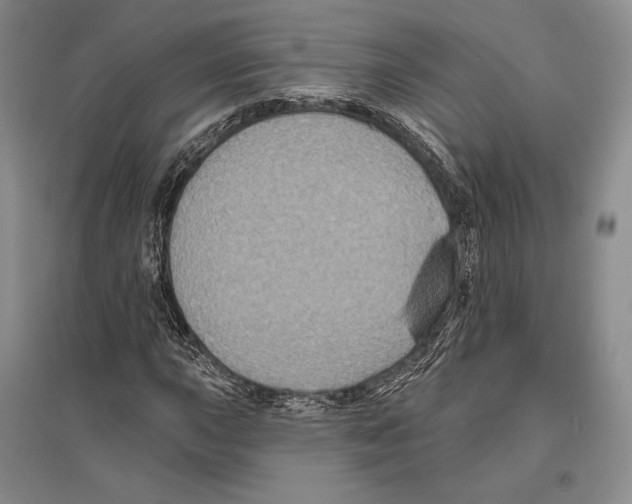 X0000096451015200802211229