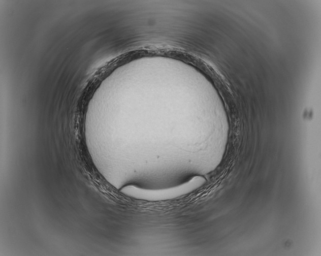 X0000096451016200802211229