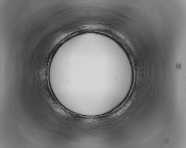 X0000096451017200802211229