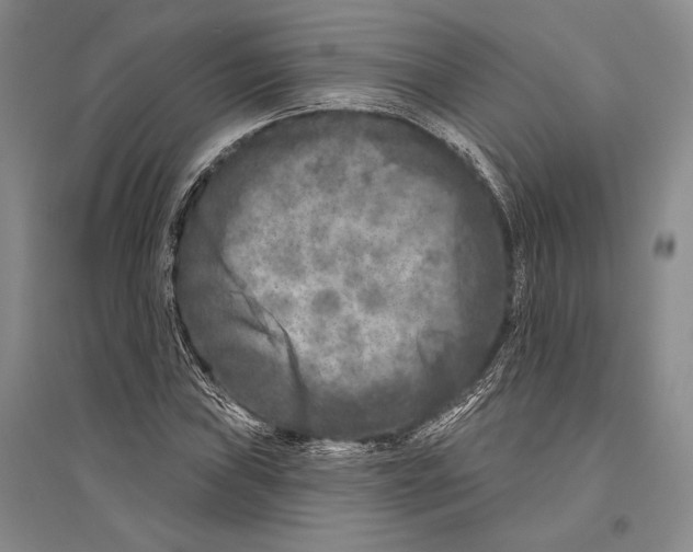 X0000096451019200802211229