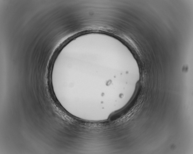 X0000096451020200802211229