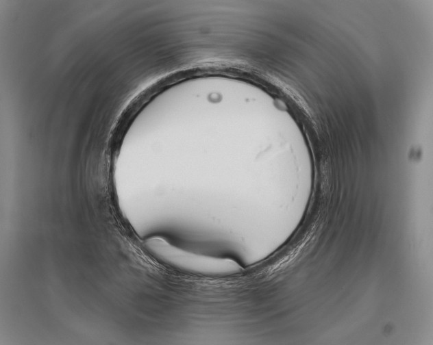 X0000096451021200802211229