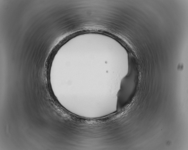 X0000096451022200802211229