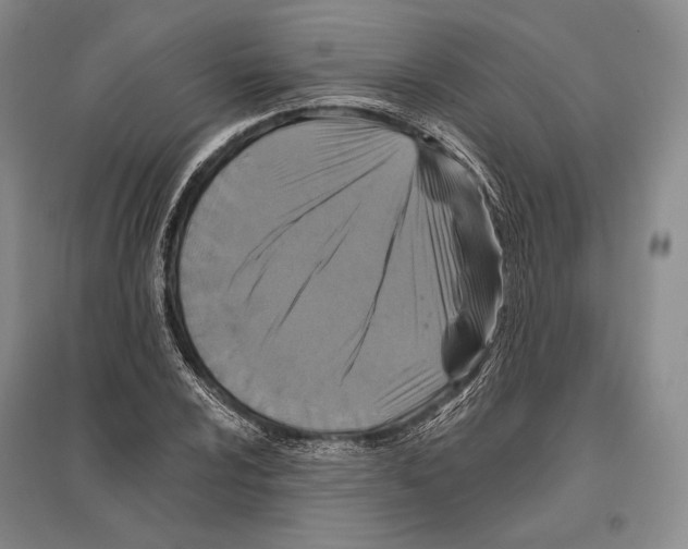 X0000096451024200802211229