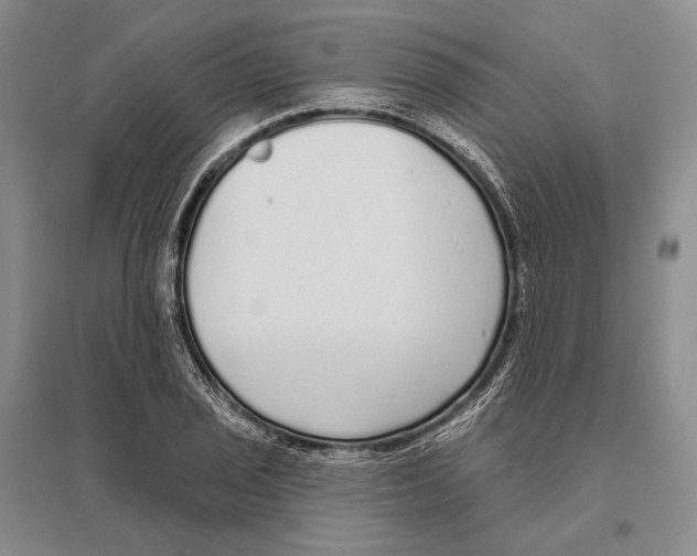 X0000096451029200802211229