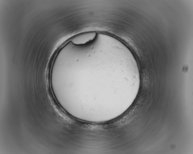 X0000096451030200802211229