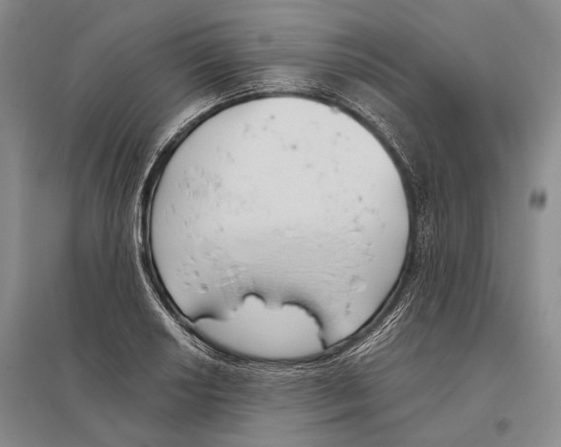 X0000096451034200802211229