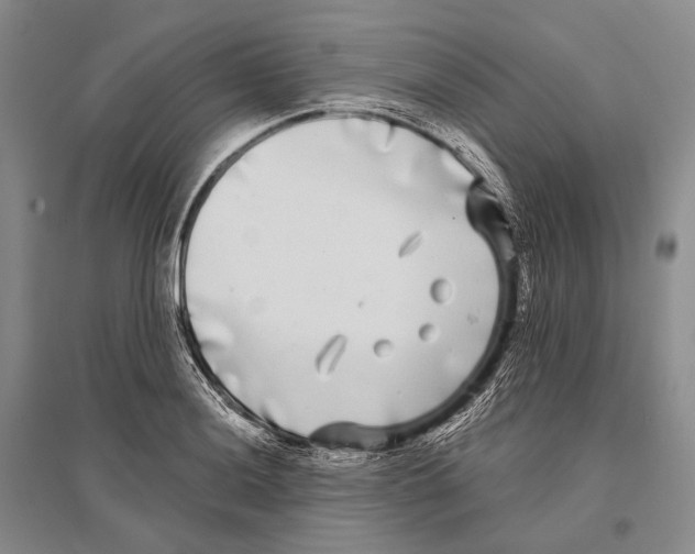 X0000096451036200802211229