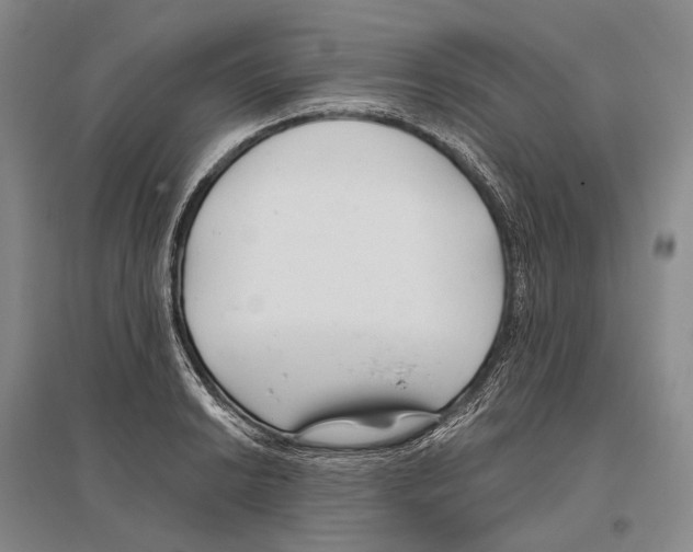 X0000096451038200802211229