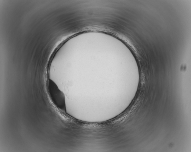 X0000096451040200802211229