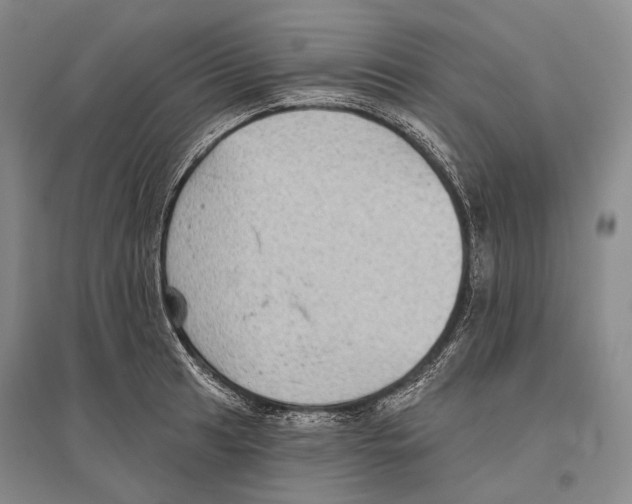 X0000096451041200802211229