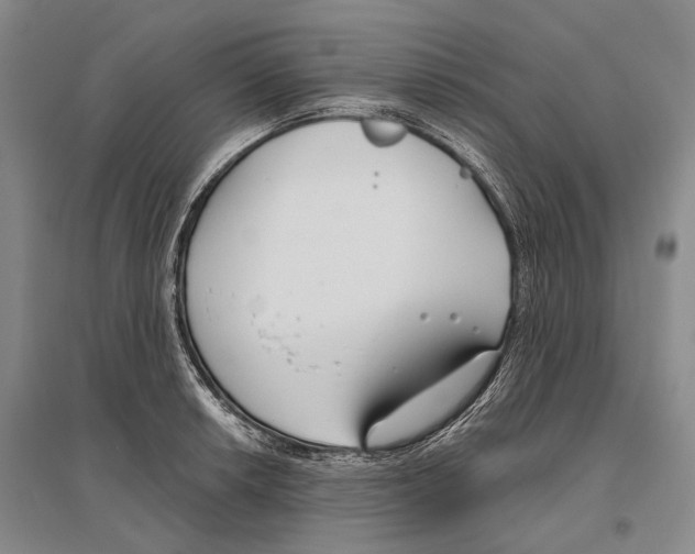 X0000096451042200802211229