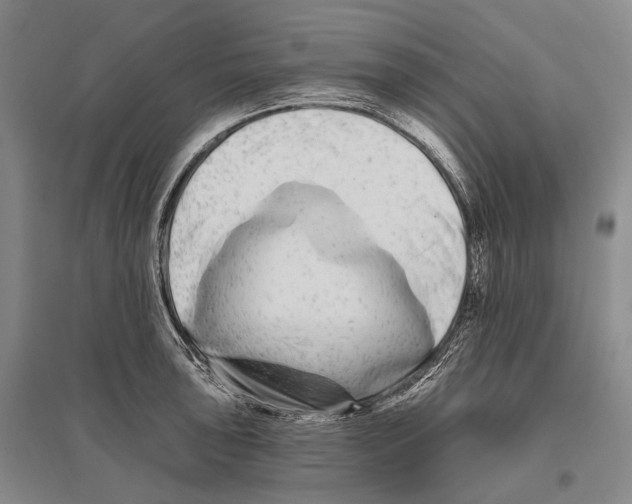 X0000096451043200802211229