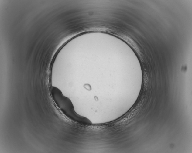 X0000096451044200802211229