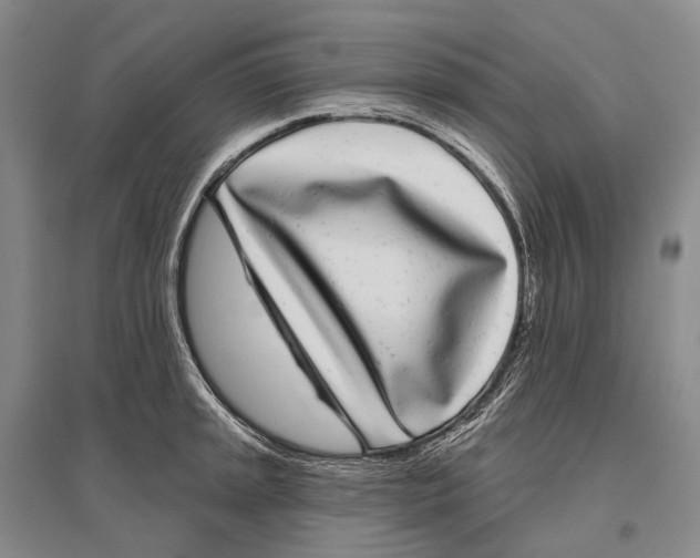 X0000096451045200802211229