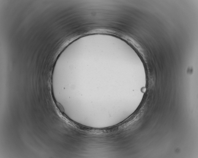 X0000096451049200802211229