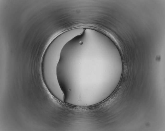 X0000096451050200802211229