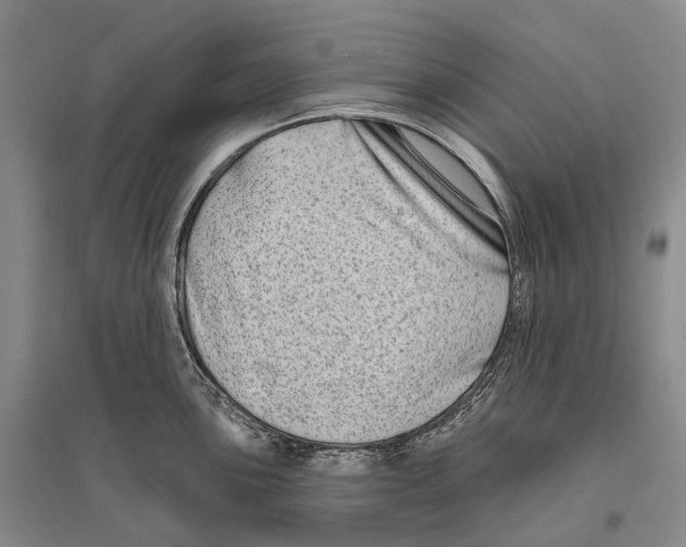 X0000096451051200802211229