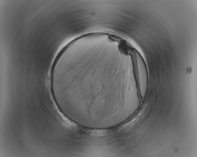 X0000096451053200802211229