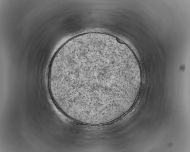 X0000096451054200802211229