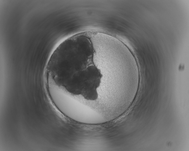 X0000096451056200802211229