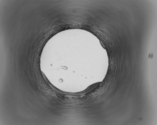 X0000096451057200802211229