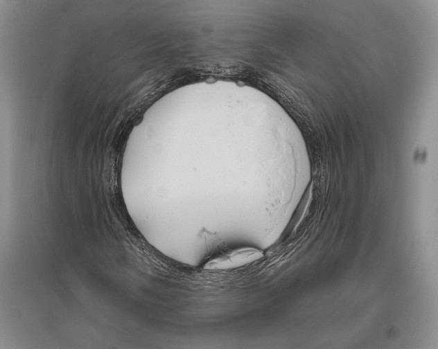 X0000096451058200802211229