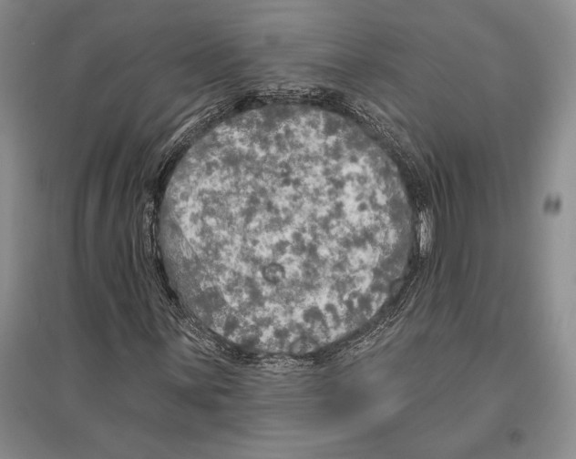 X0000096451059200802211229