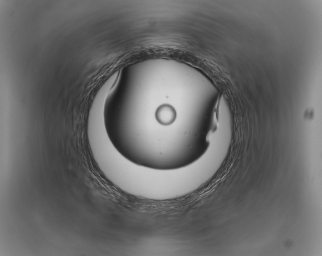 X0000096451061200802211229