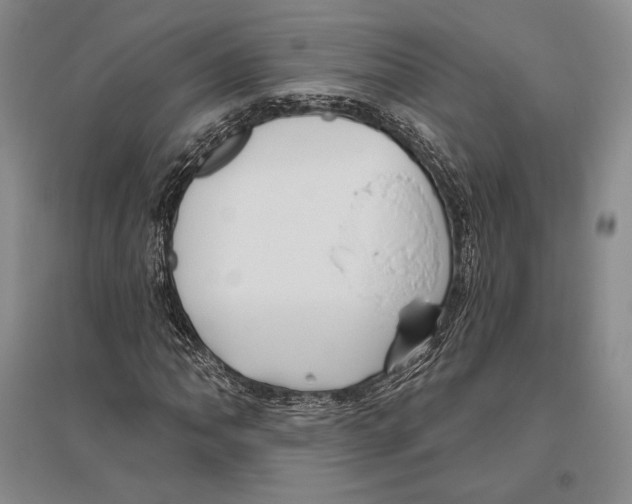 X0000096451062200802211229