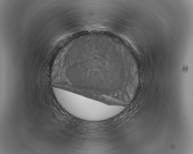 X0000096451063200802211229