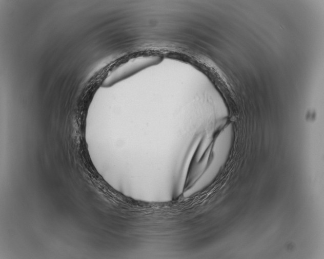 X0000096451064200802211229