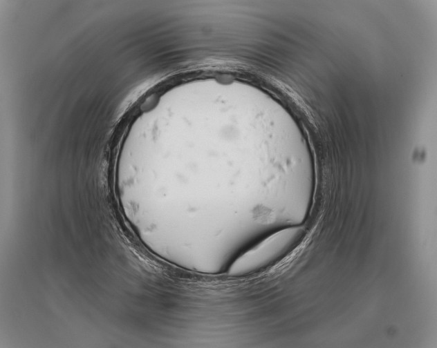 X0000096451066200802211229