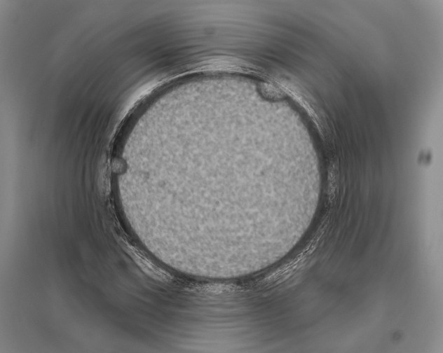 X0000096451067200802211229