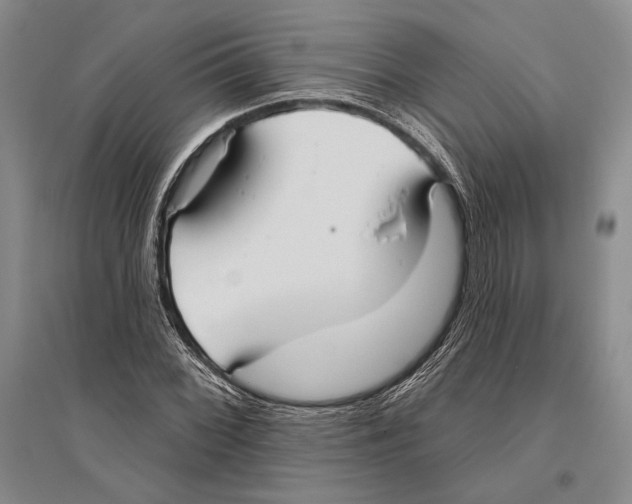 X0000096451068200802211229