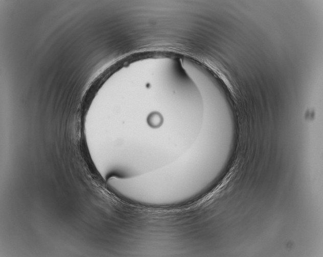 X0000096451069200802211229