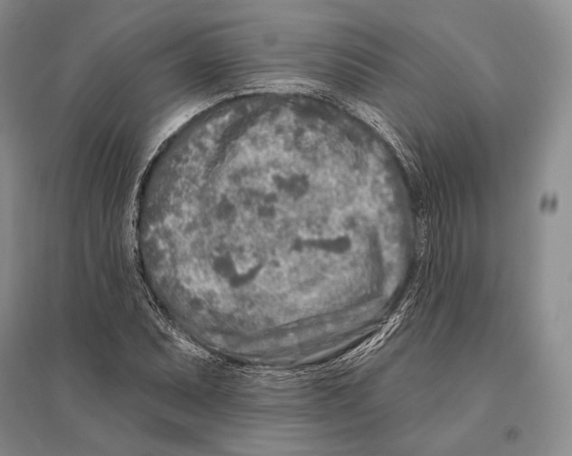 X0000096451071200802211228