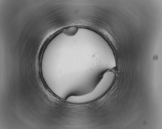 X0000096451072200802211228