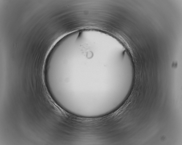 X0000096451076200802211228