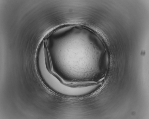 X0000096451077200802211228