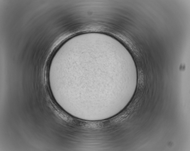 X0000096451078200802211228