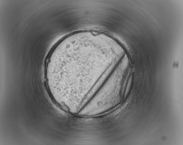 X0000096451079200802211228