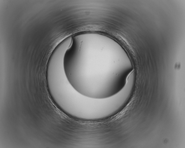 X0000096451081200802211228