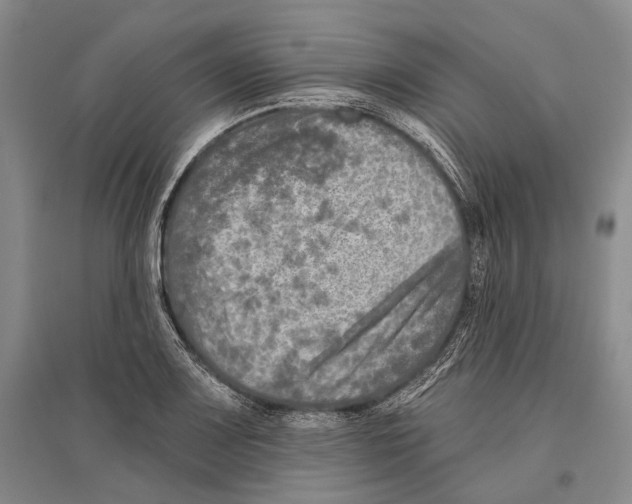 X0000096451083200802211228